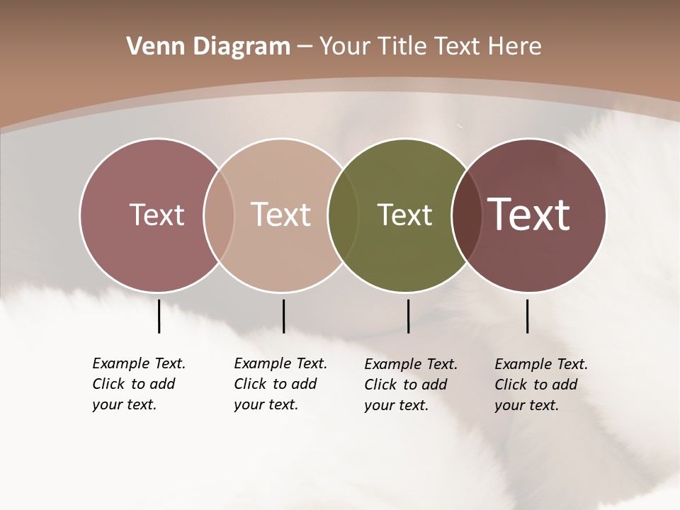 Glamour Beautiful People PowerPoint Template