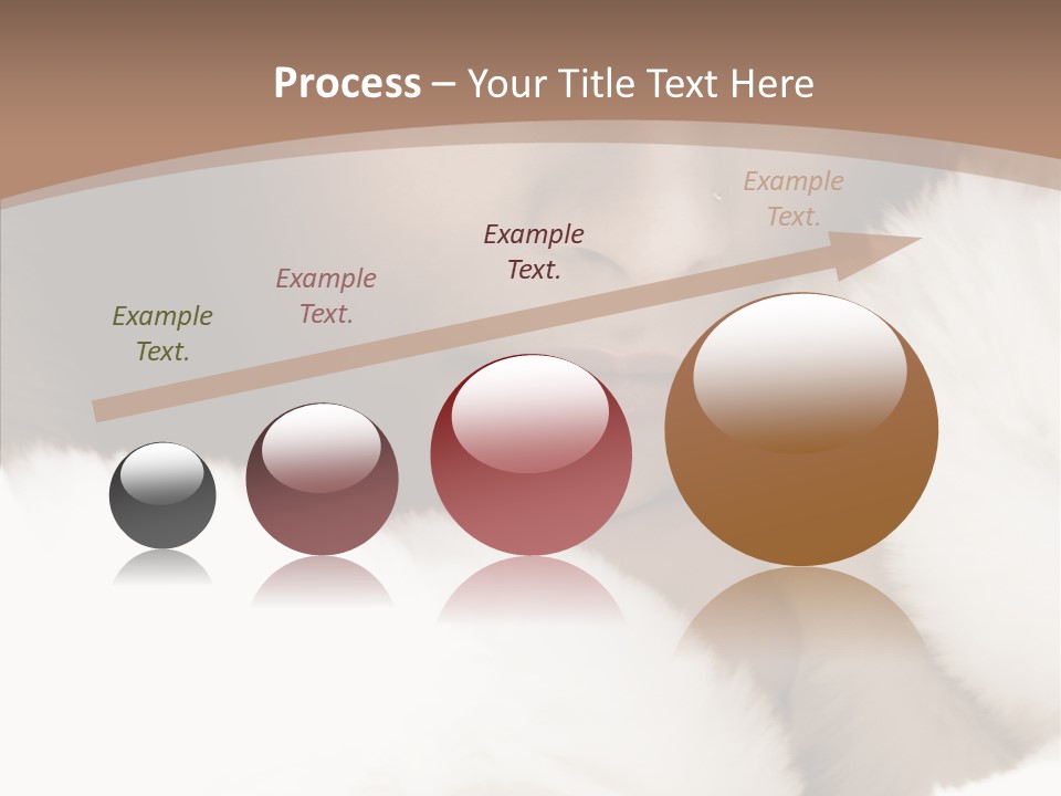 Glamour Beautiful People PowerPoint Template