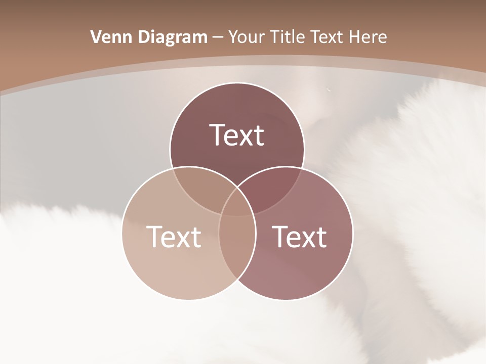 Glamour Beautiful People PowerPoint Template