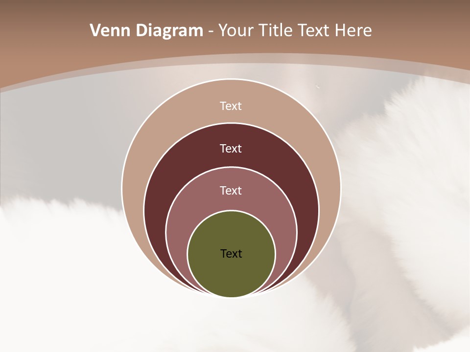 Glamour Beautiful People PowerPoint Template