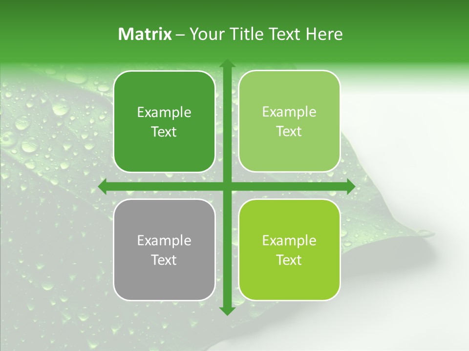 Raindrop Nature Weather PowerPoint Template