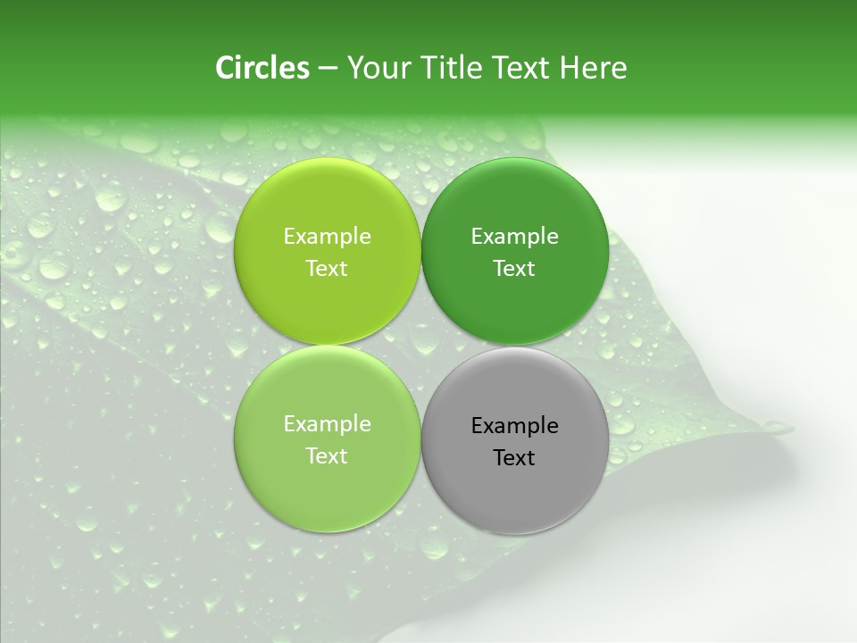 Raindrop Nature Weather PowerPoint Template