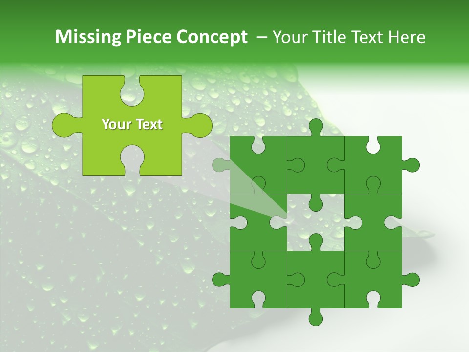 Raindrop Nature Weather PowerPoint Template