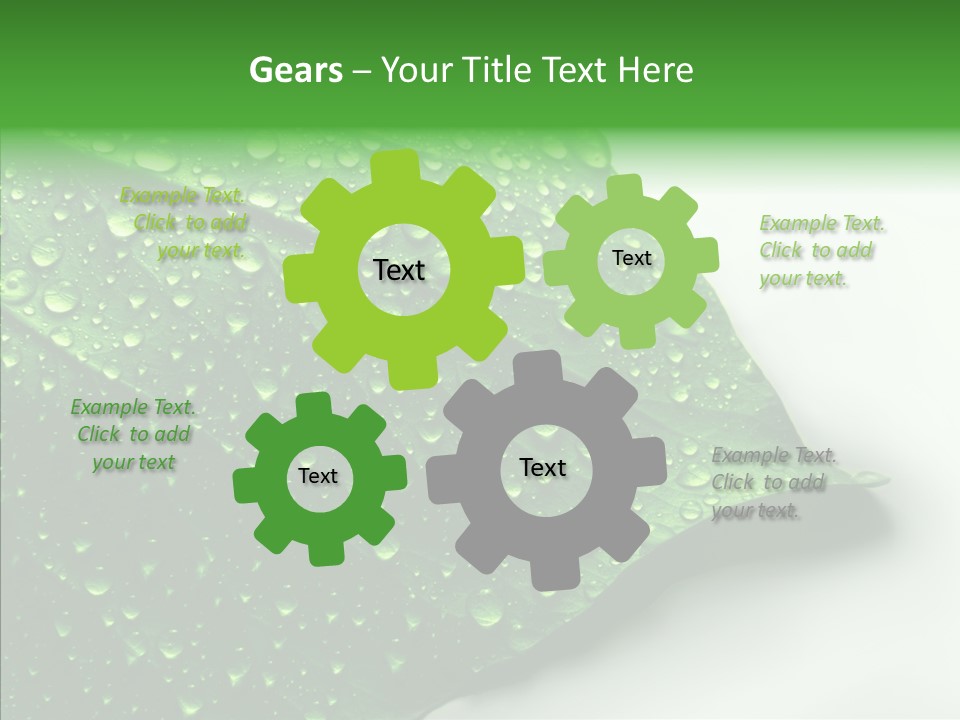 Raindrop Nature Weather PowerPoint Template