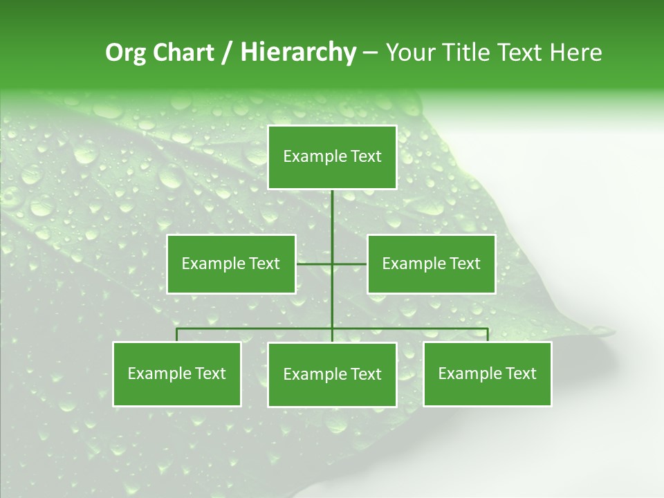 Raindrop Nature Weather PowerPoint Template