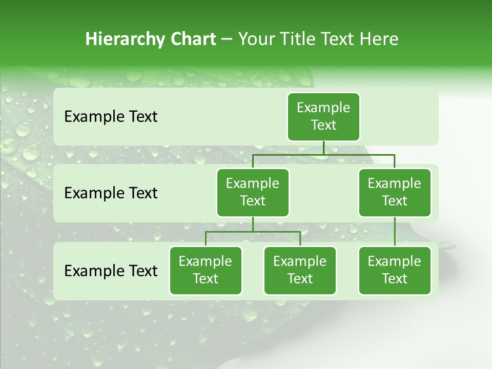 Raindrop Nature Weather PowerPoint Template