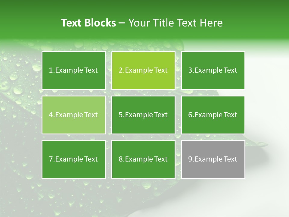 Raindrop Nature Weather PowerPoint Template