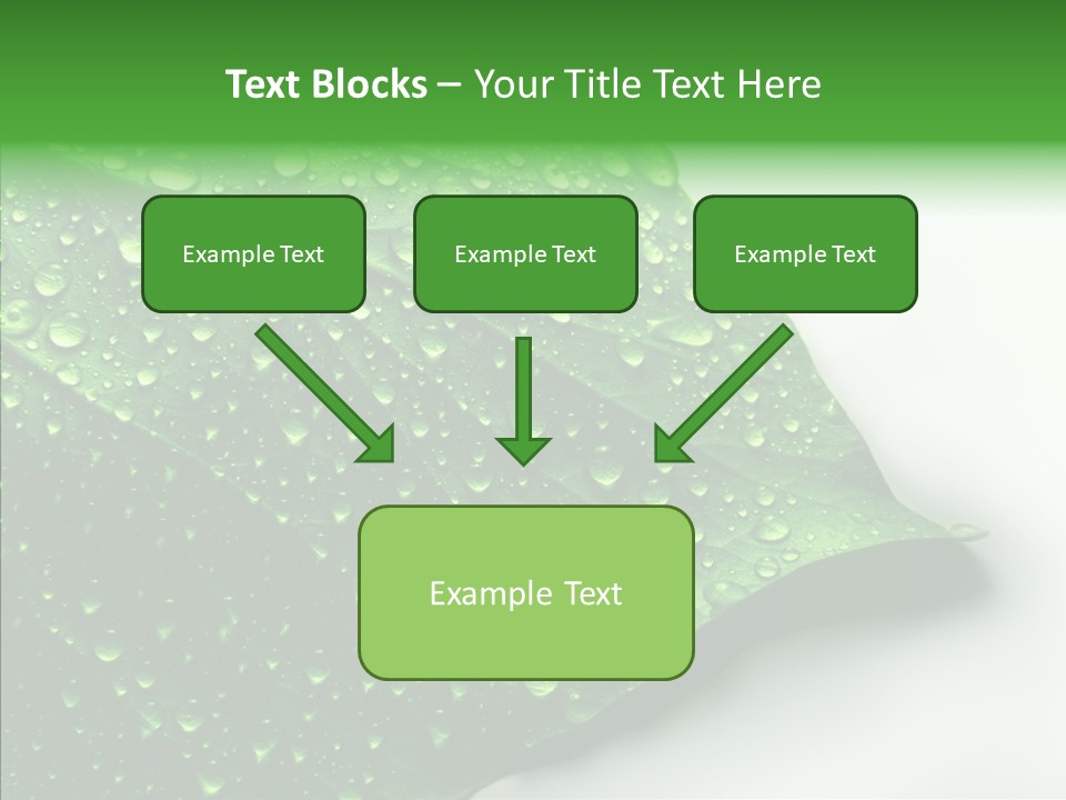 Raindrop Nature Weather PowerPoint Template