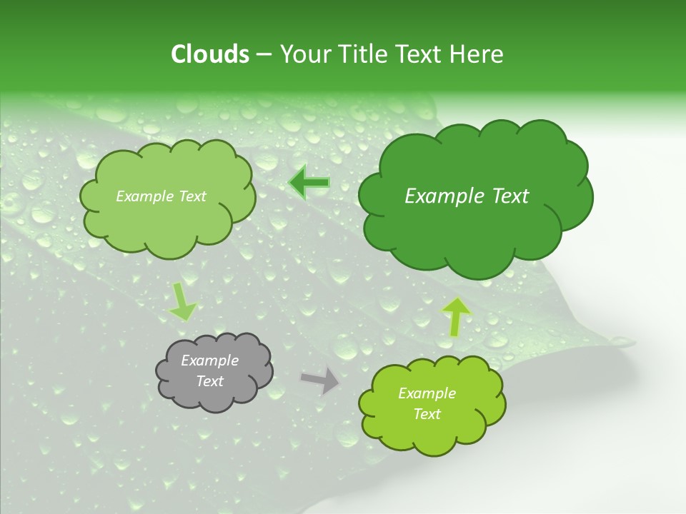Raindrop Nature Weather PowerPoint Template