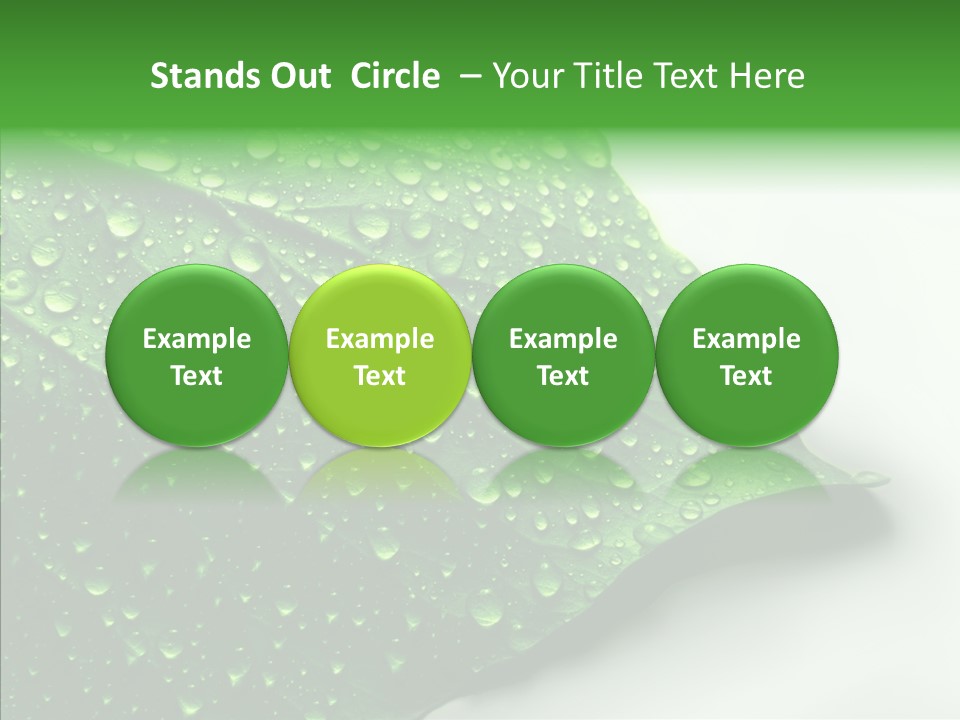 Raindrop Nature Weather PowerPoint Template