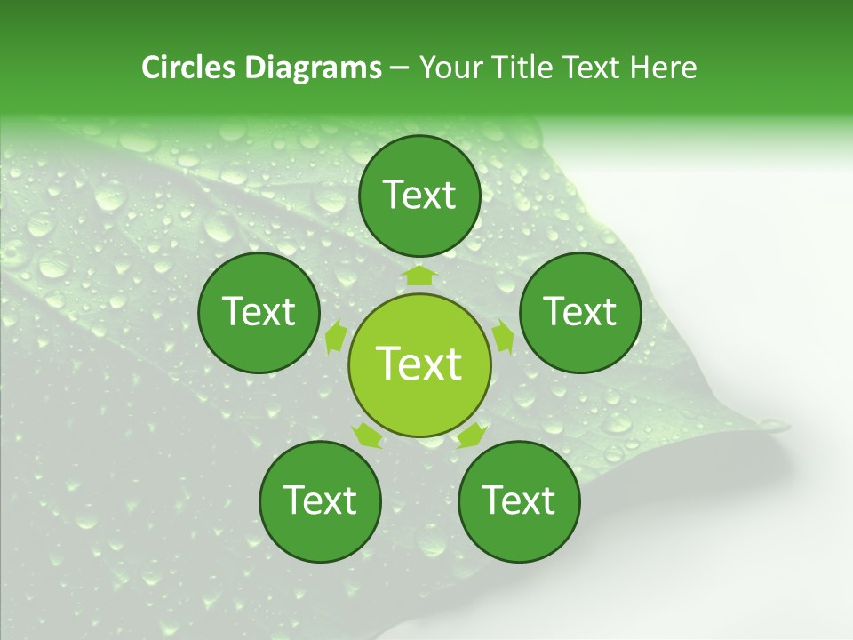 Raindrop Nature Weather PowerPoint Template