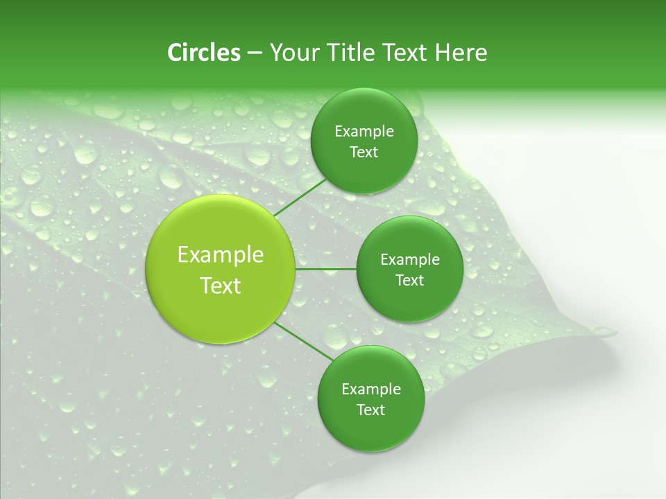 Raindrop Nature Weather PowerPoint Template