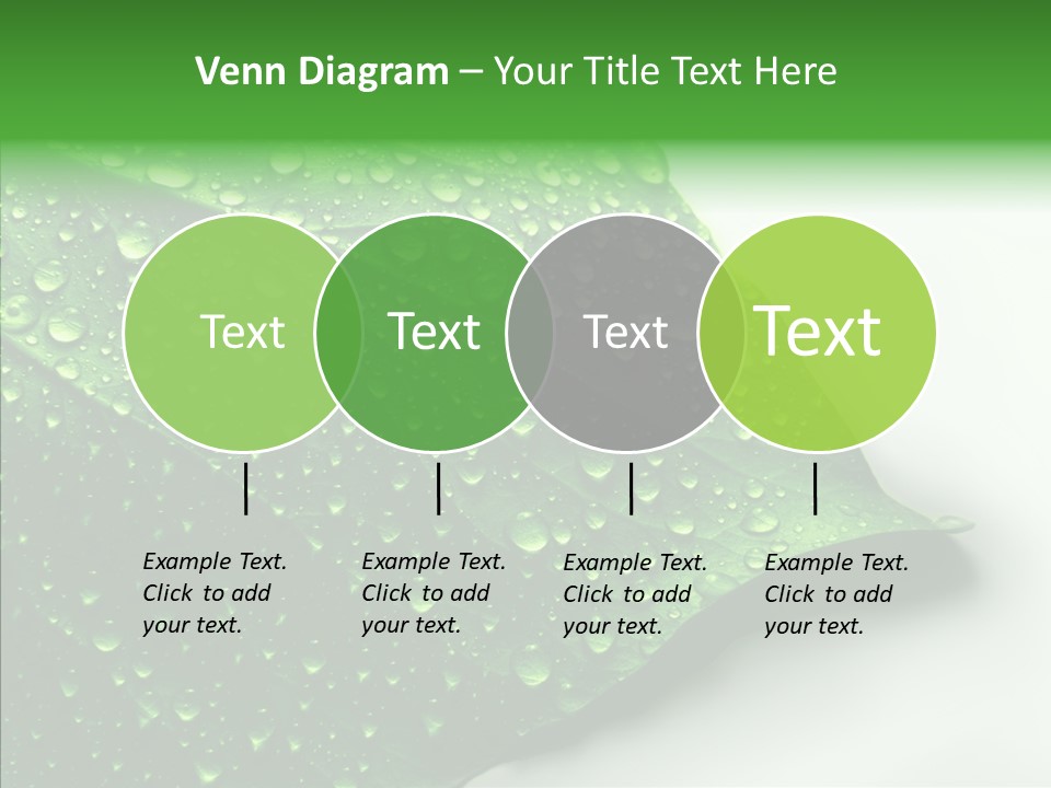 Raindrop Nature Weather PowerPoint Template