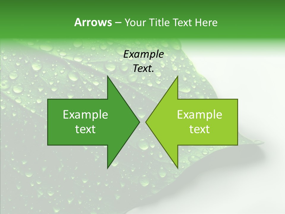Raindrop Nature Weather PowerPoint Template