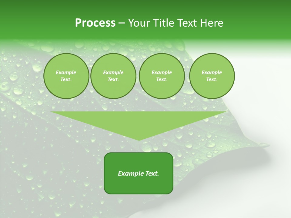 Raindrop Nature Weather PowerPoint Template