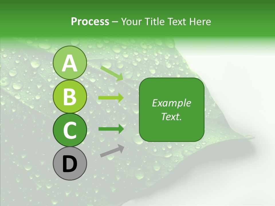 Raindrop Nature Weather PowerPoint Template