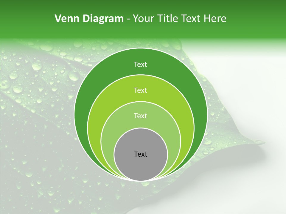 Raindrop Nature Weather PowerPoint Template