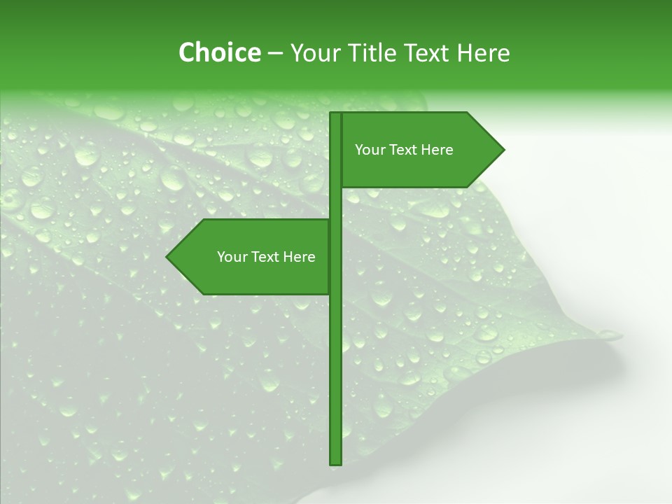 Raindrop Nature Weather PowerPoint Template