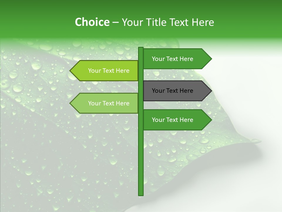 Raindrop Nature Weather PowerPoint Template