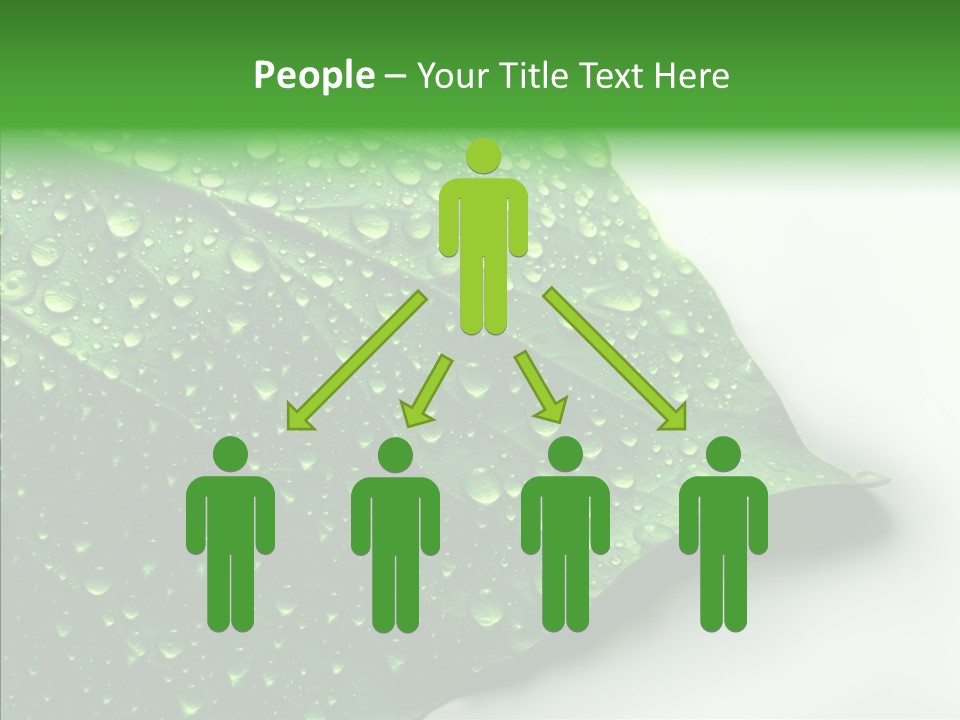 Raindrop Nature Weather PowerPoint Template