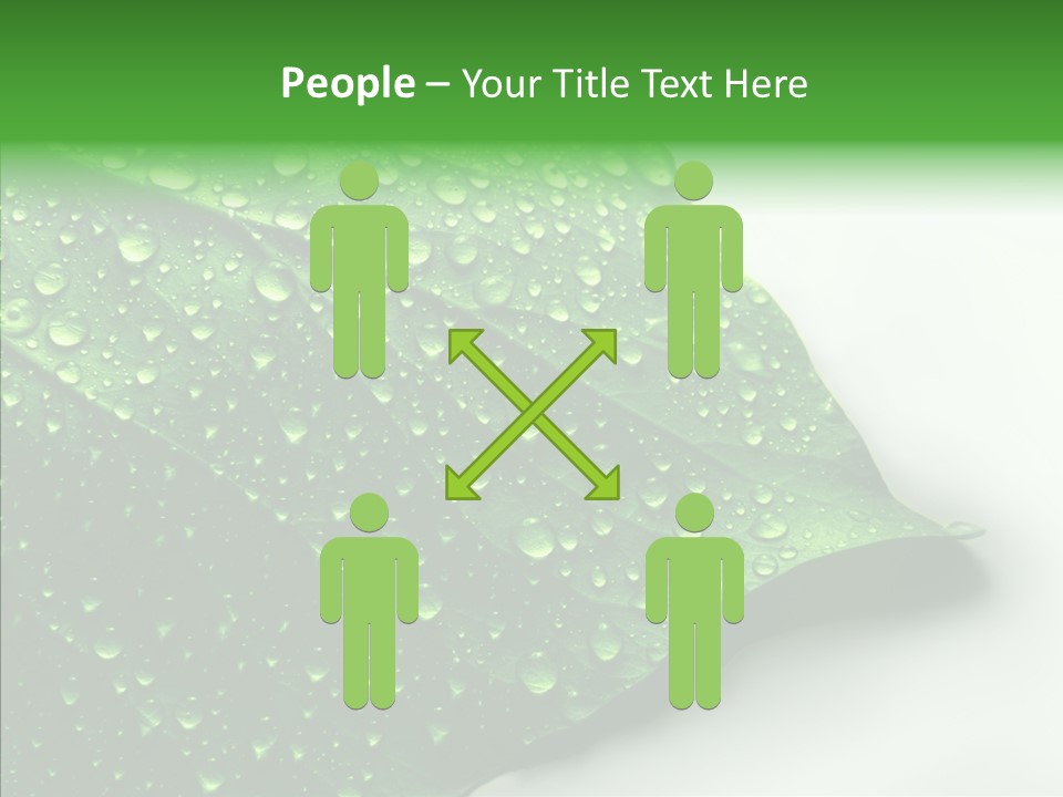 Raindrop Nature Weather PowerPoint Template