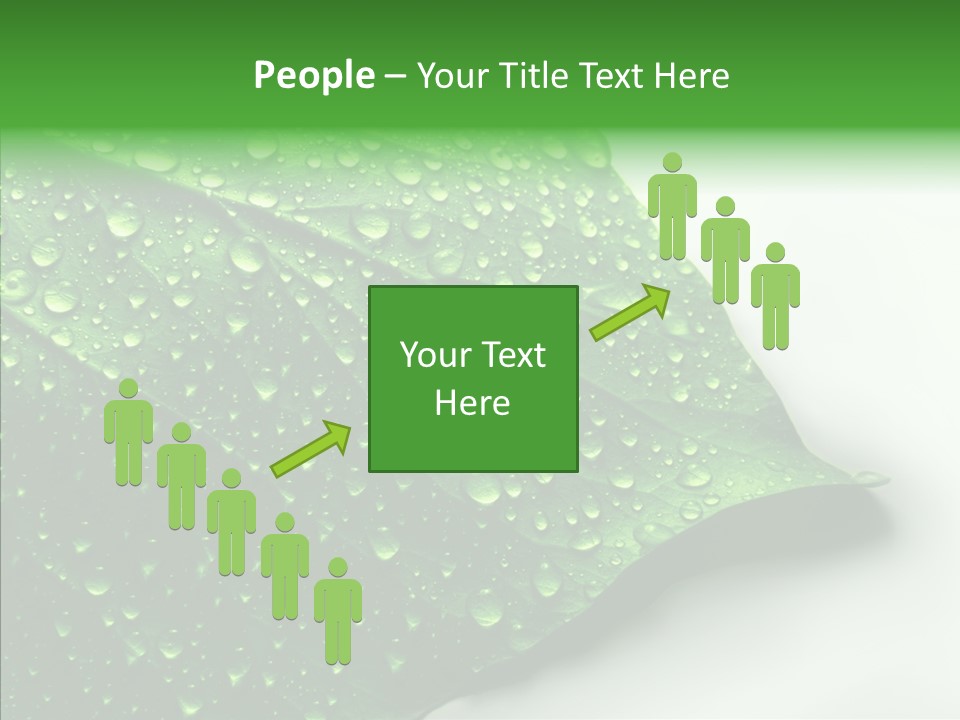 Raindrop Nature Weather PowerPoint Template