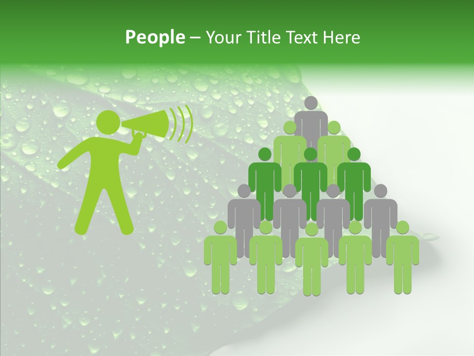 Raindrop Nature Weather PowerPoint Template