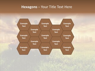 Field Sun Sky PowerPoint Template