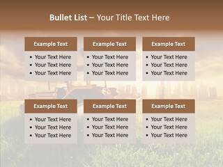 Field Sun Sky PowerPoint Template