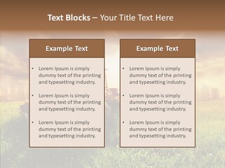 Field Sun Sky PowerPoint Template