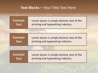 Field Sun Sky PowerPoint Template