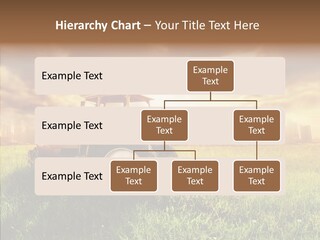 Field Sun Sky PowerPoint Template