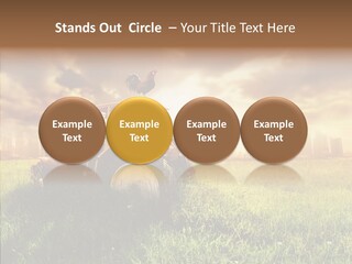 Field Sun Sky PowerPoint Template