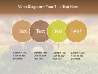 Field Sun Sky PowerPoint Template