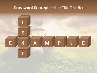Field Sun Sky PowerPoint Template