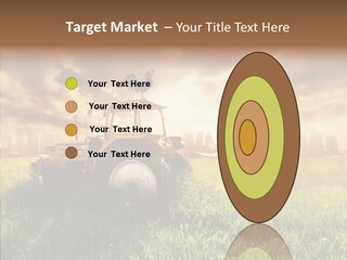 Field Sun Sky PowerPoint Template