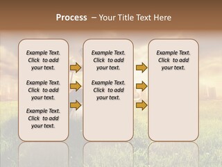Field Sun Sky PowerPoint Template