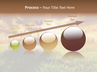 Field Sun Sky PowerPoint Template