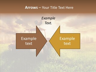 Field Sun Sky PowerPoint Template