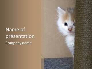 Fluffy Post Hiding PowerPoint Template