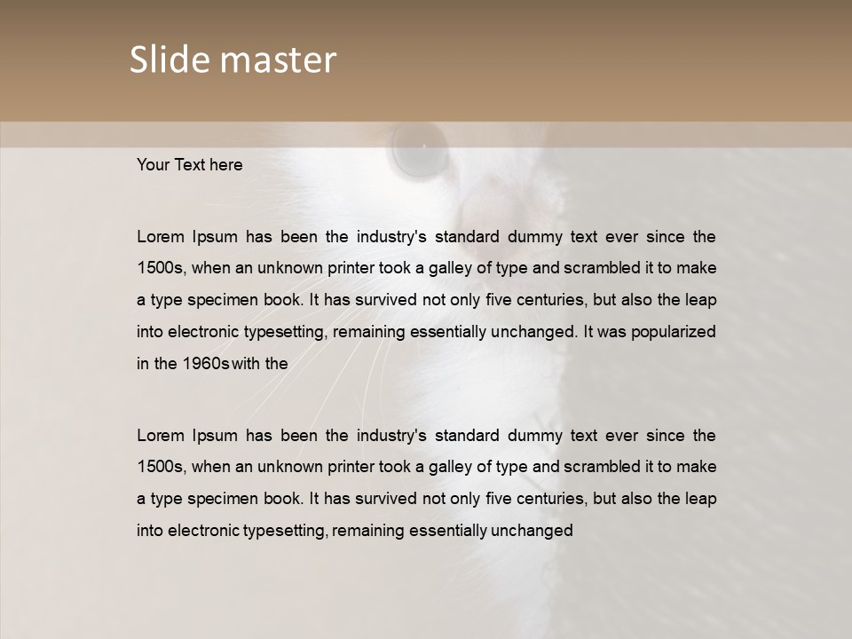 Fluffy Post Hiding PowerPoint Template
