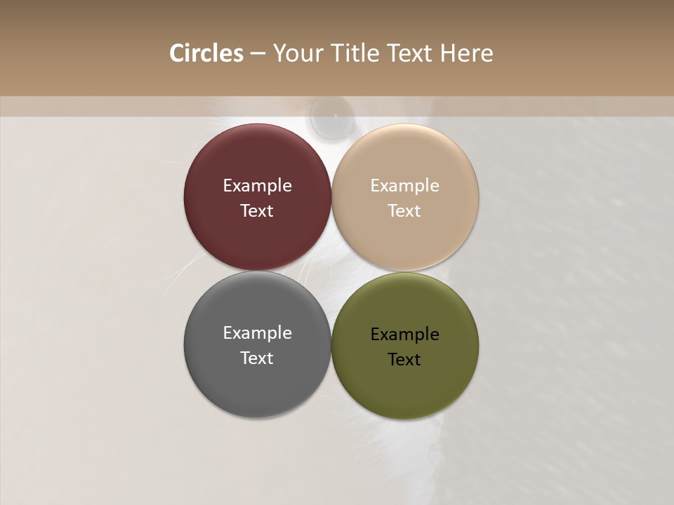 Fluffy Post Hiding PowerPoint Template