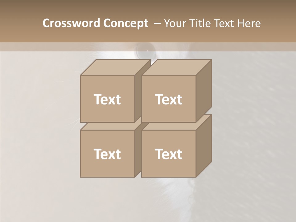Fluffy Post Hiding PowerPoint Template