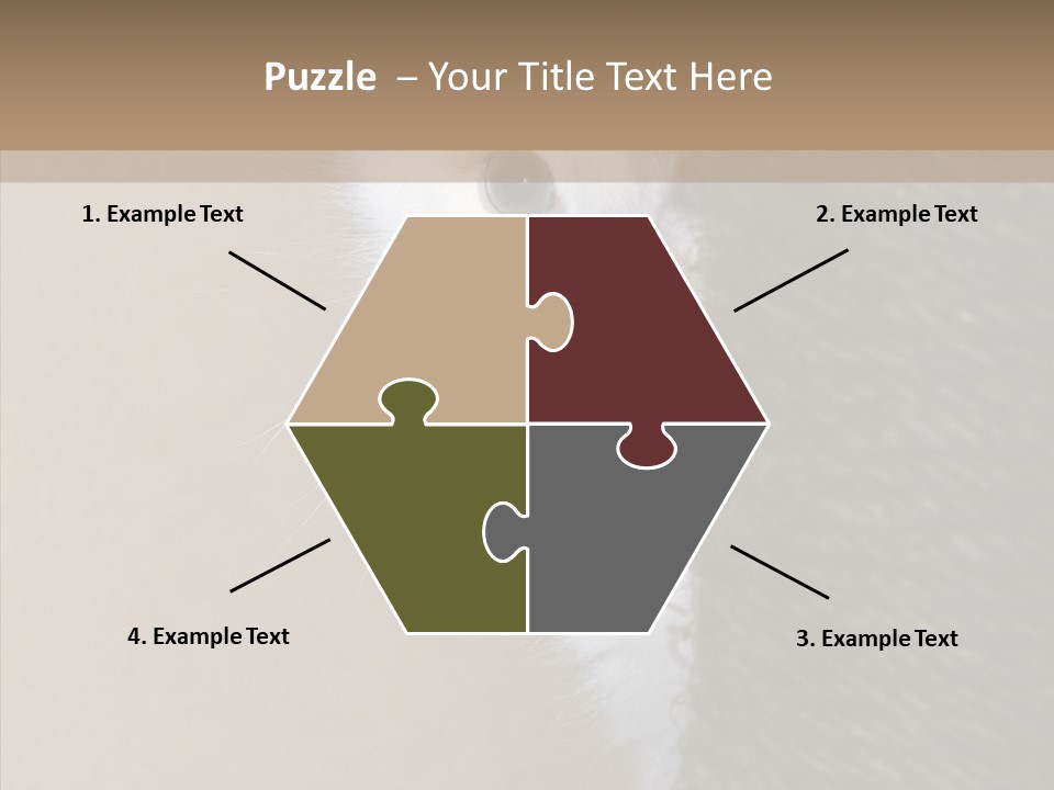 Fluffy Post Hiding PowerPoint Template