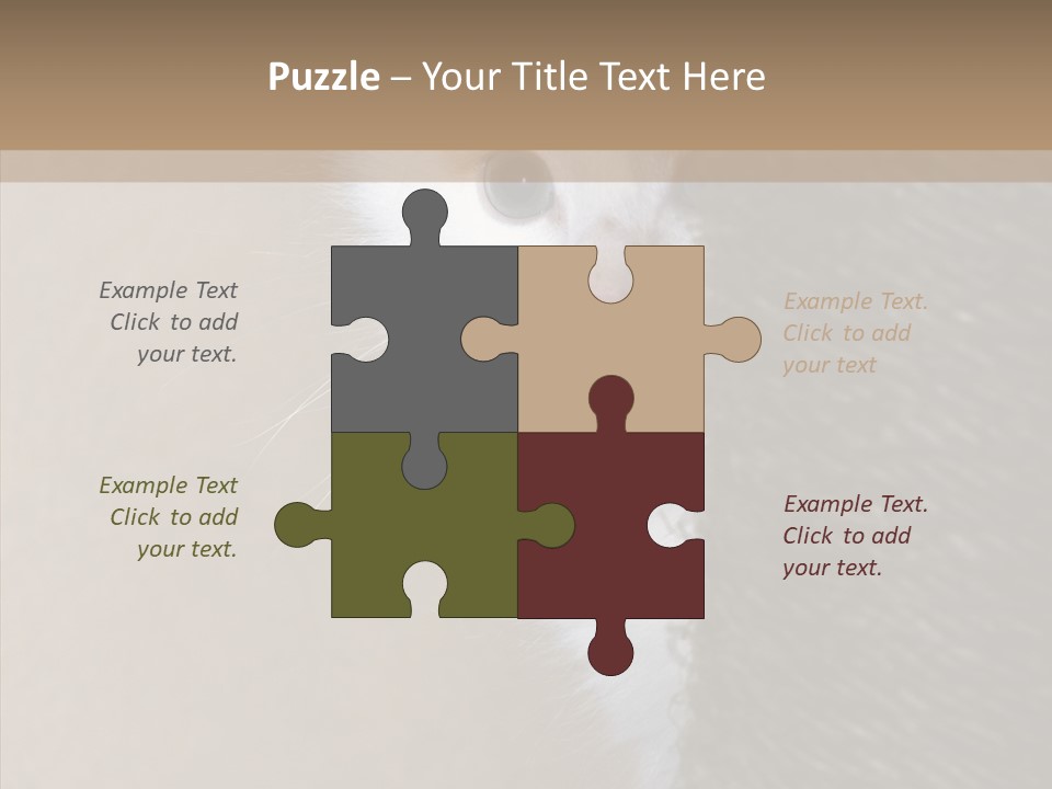 Fluffy Post Hiding PowerPoint Template
