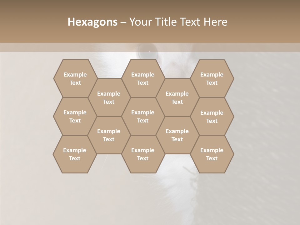 Fluffy Post Hiding PowerPoint Template