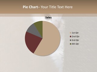 Fluffy Post Hiding PowerPoint Template