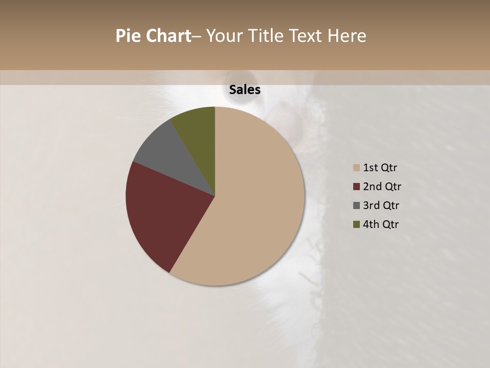Fluffy Post Hiding PowerPoint Template
