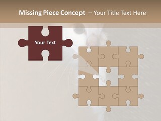 Fluffy Post Hiding PowerPoint Template