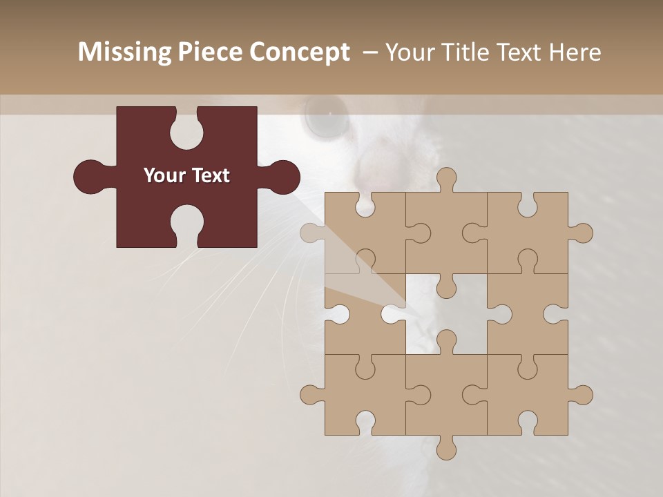 Fluffy Post Hiding PowerPoint Template